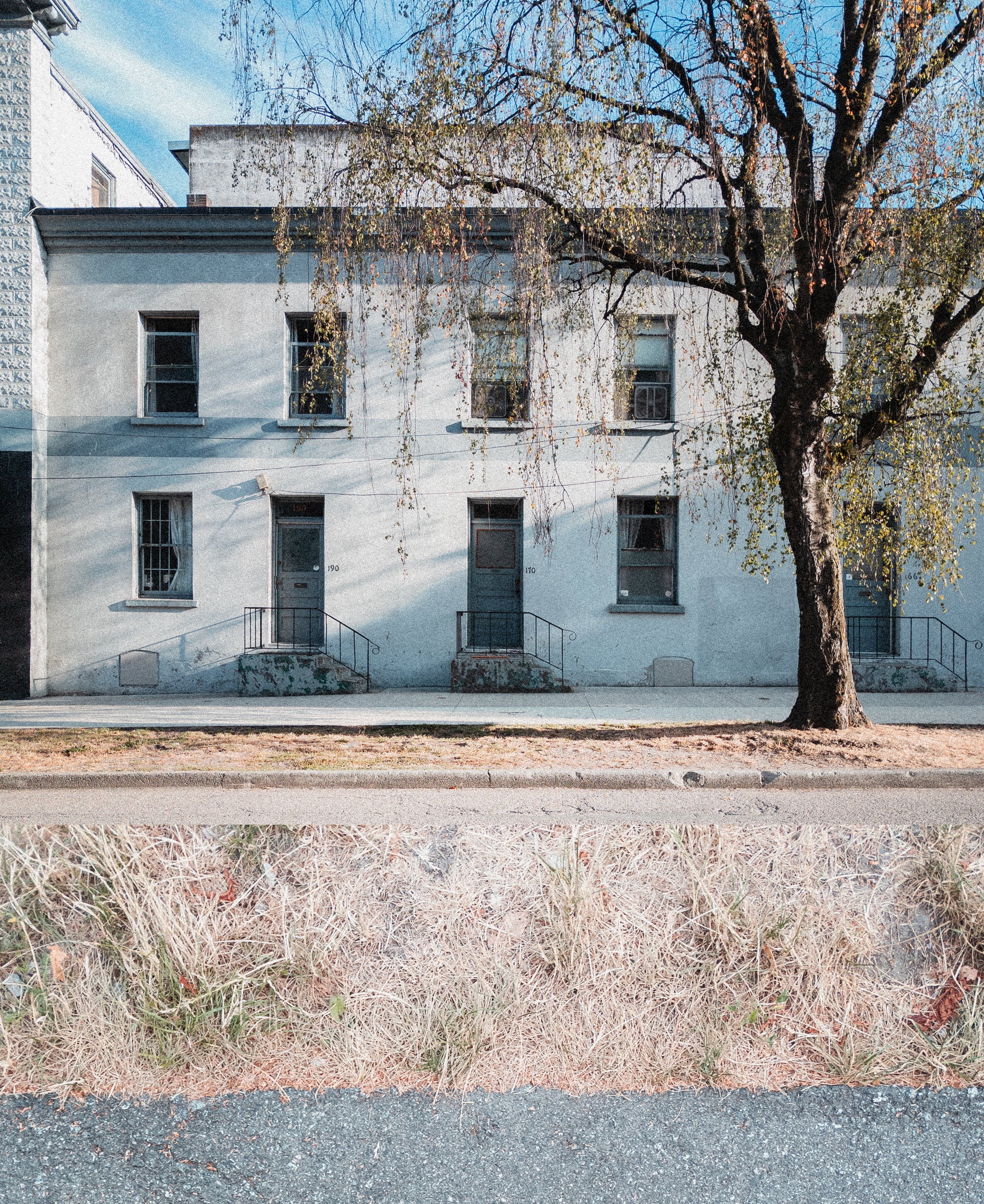 dark background A wide outdoor architectural scene showing a pale blue-gray building with multiple windows and front steps, a large leafless tree in the foreground, a street curb, dry grass, and asphalt. No person or animal is present.