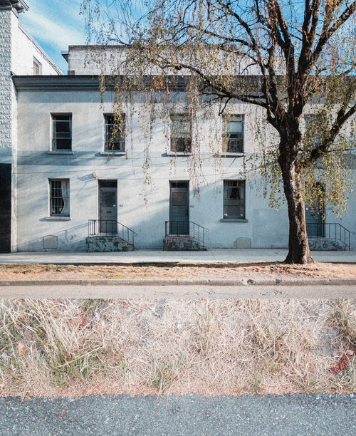 dark background A wide outdoor architectural scene showing a pale blue-gray building with multiple windows and front steps, a large leafless tree in the foreground, a street curb, dry grass, and asphalt. No person or animal is present.